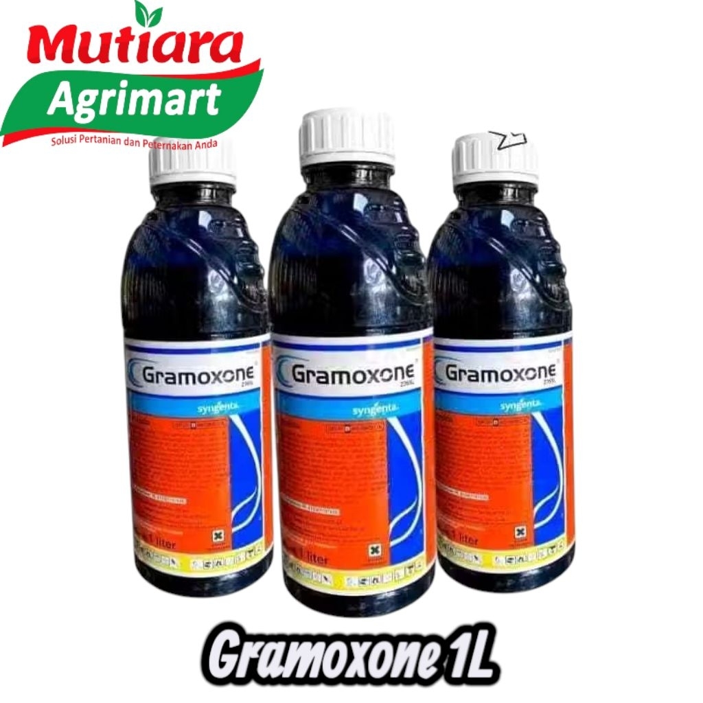 GRAMOXONE 276 SL / PEMBASMI RUMPUT / RACUN RUMPUT