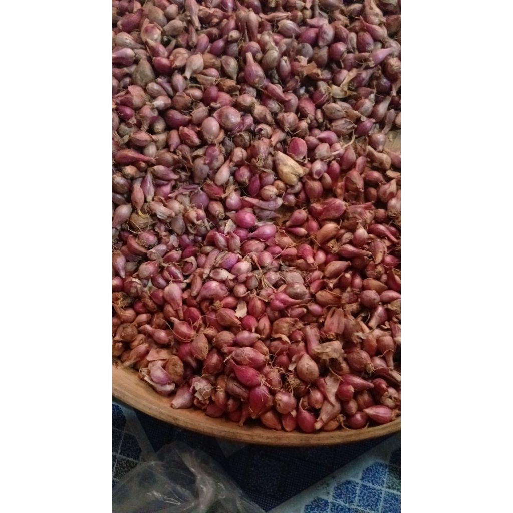 

bawang merah kecil/lembut ulekan