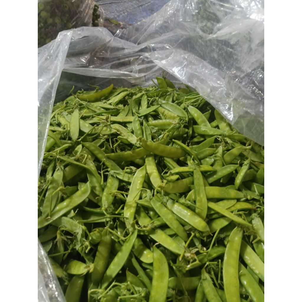 

kacang arcis muda capcay 200 gram