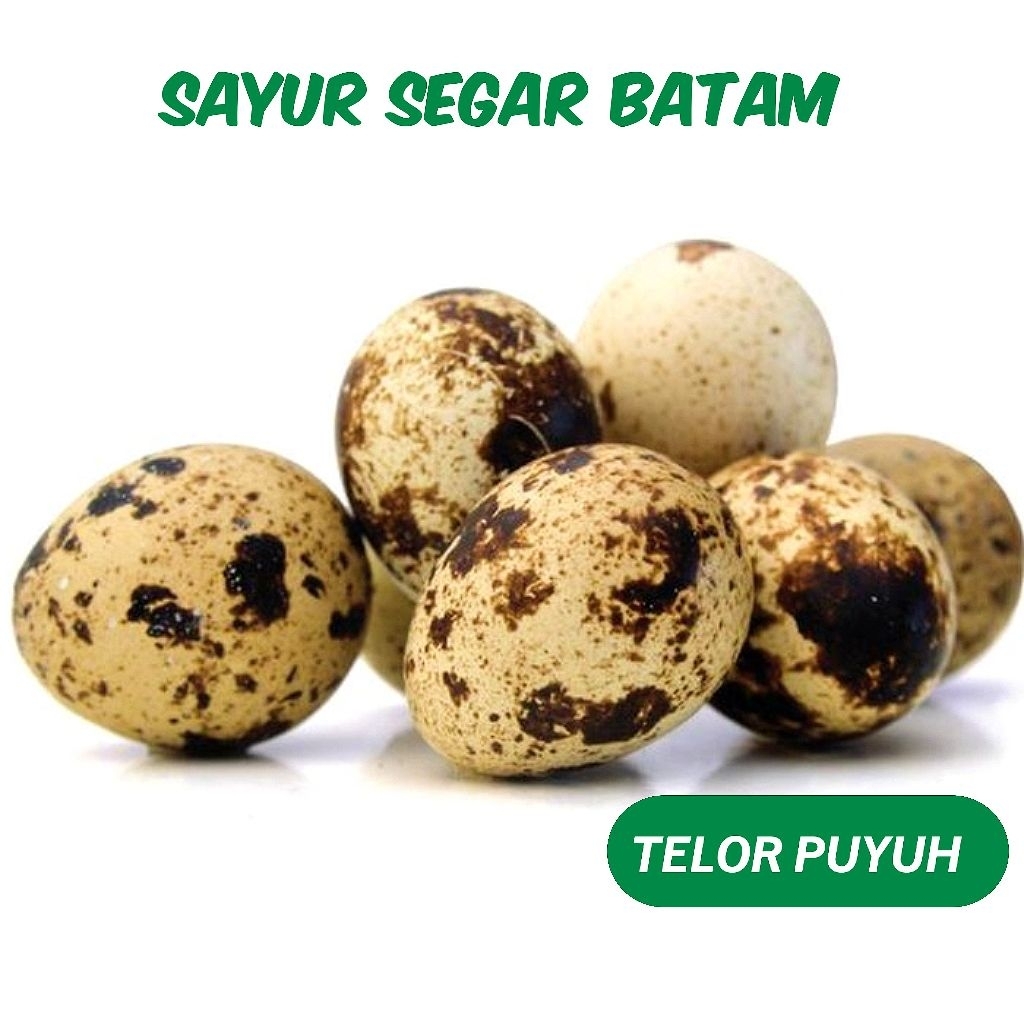 

Telur Puyuh Per Pack isi 18-20 - Sayur Segar Batam
