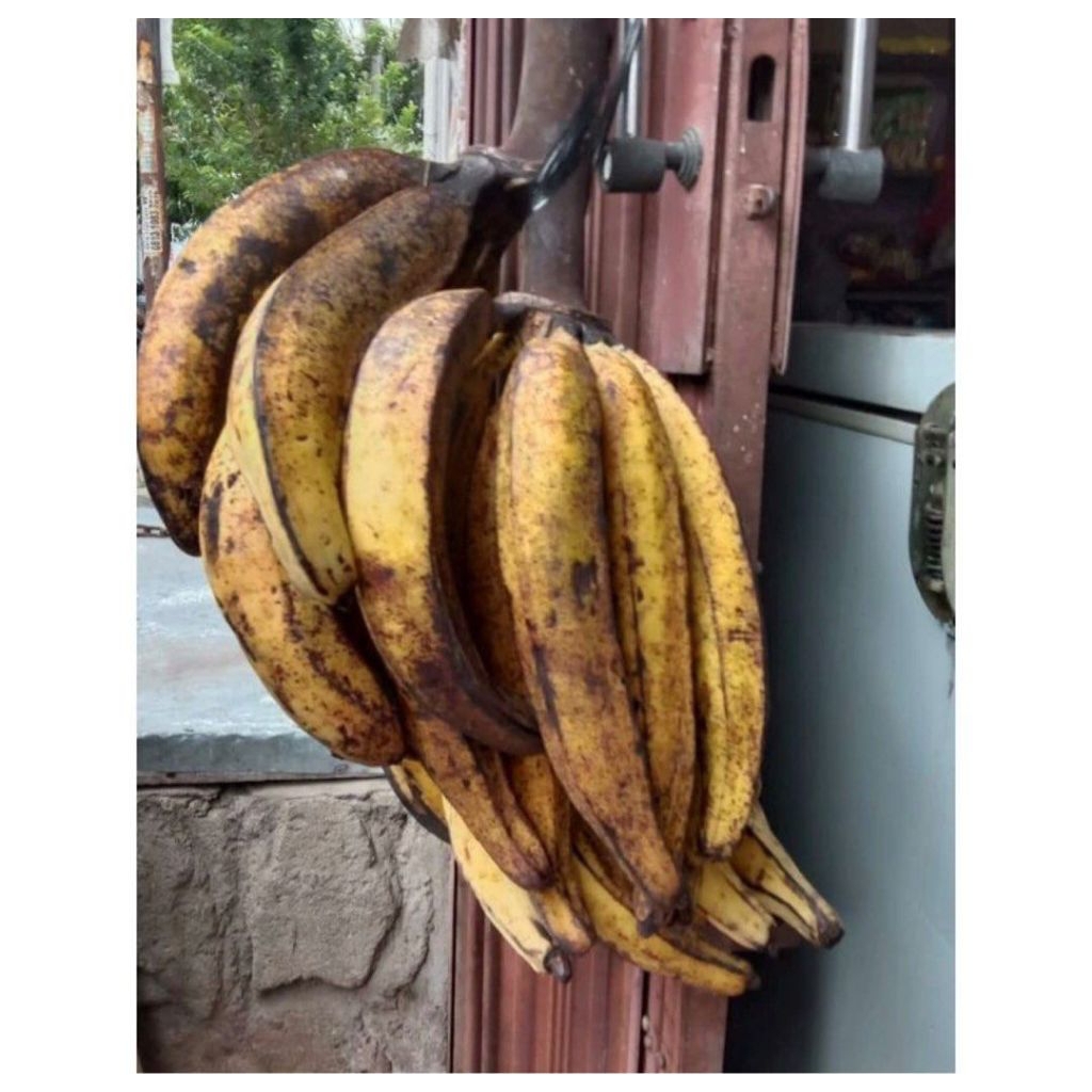 

pisang tanduk per 1 kg