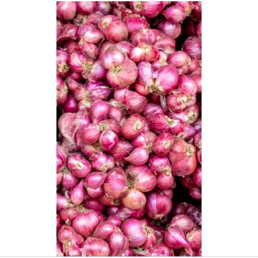 

BAWANG MERAH BOYOLALI SEDANG BESAR JUMBO 500gram dan 1KG