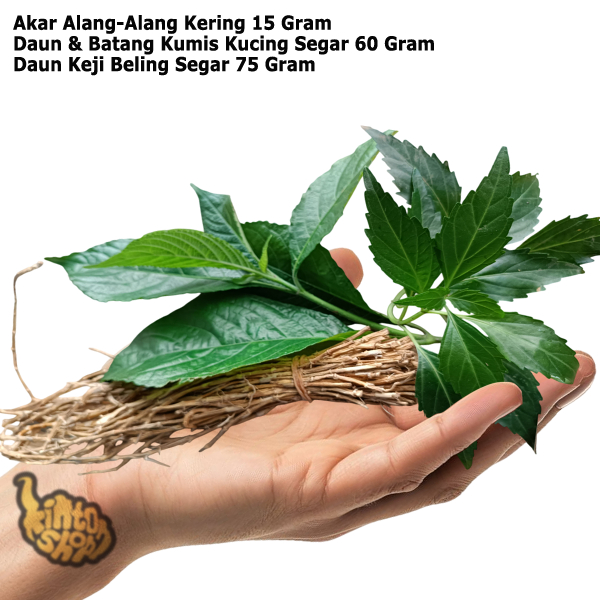 

Paketan Obat Herbal Akar Ilalang Alang-alang 15 Gram, 75 Gram Keji Beling Daun Batang Kumis Kucing 60 Gram