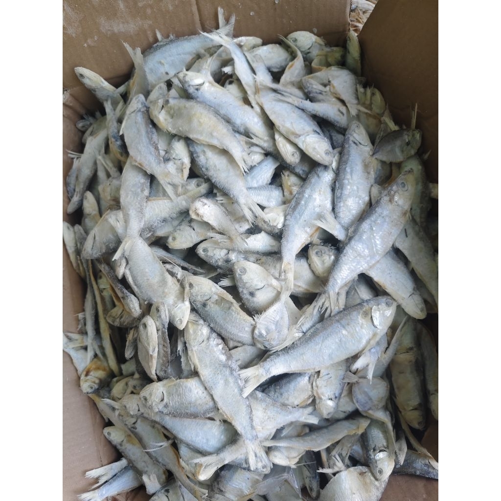 

ikan asin bilis JUMBO