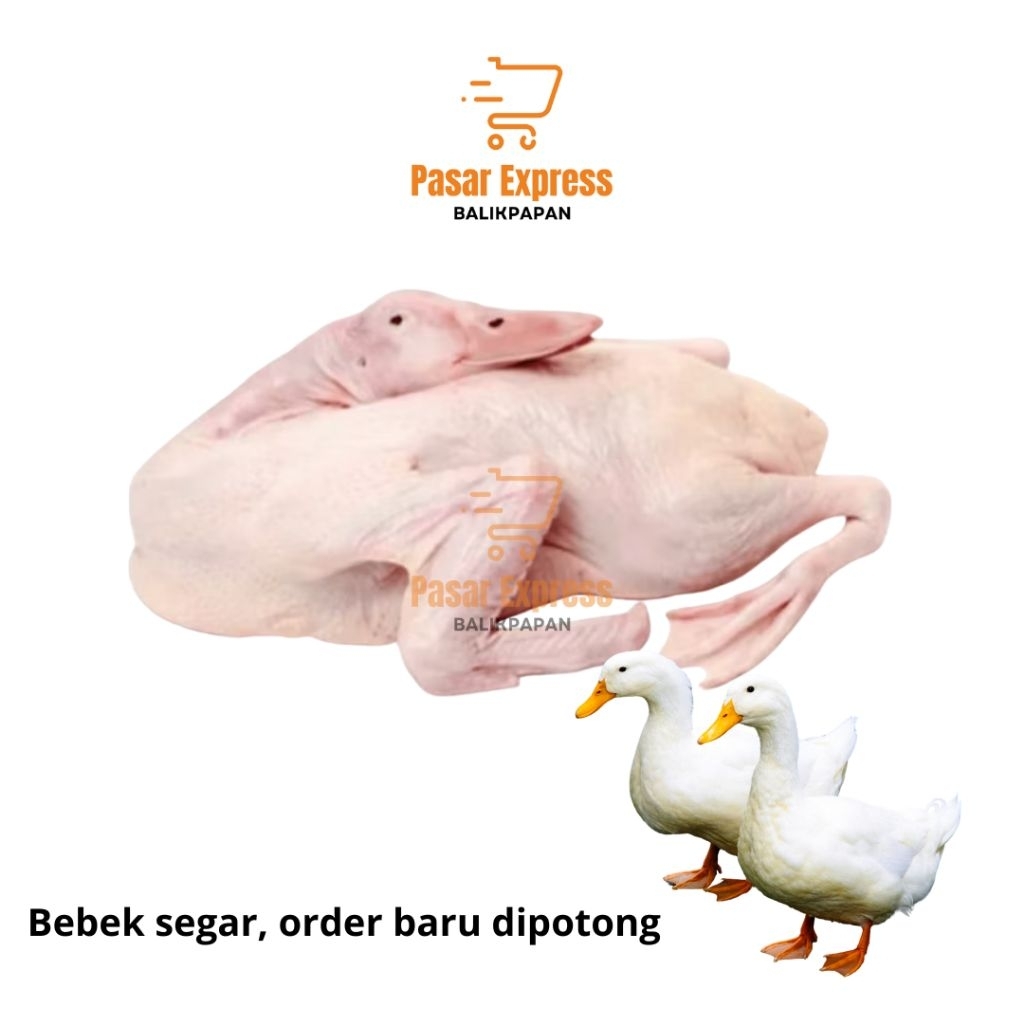

Bebek Putih / Peking Segar Bukan Frozen - Pasar Express Balikpapan