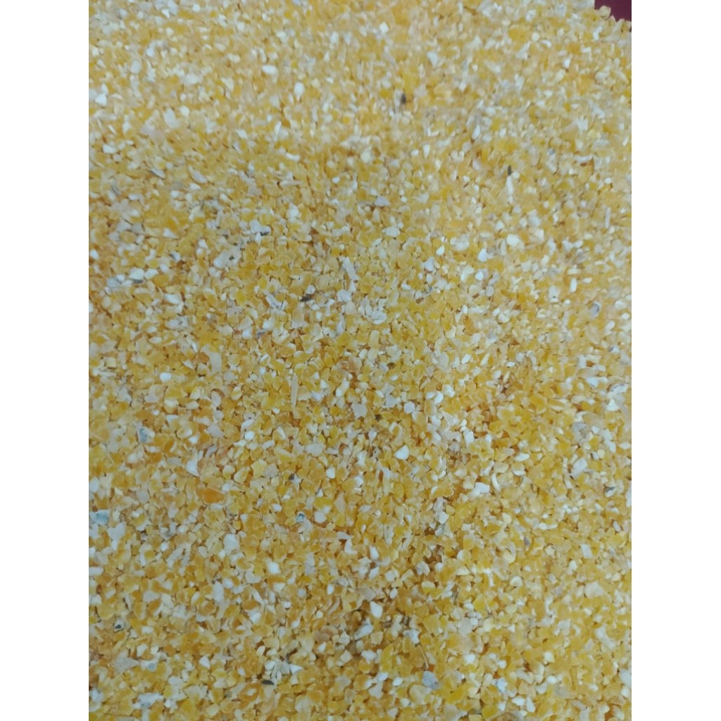 

Jagung Giling atau Beras Jagung