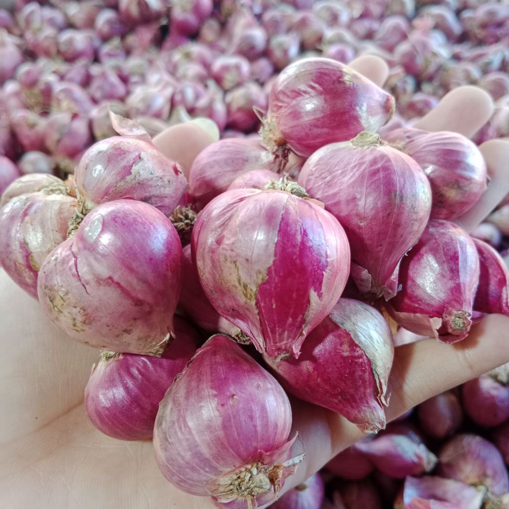 

Bawang Merah 500g Lokal