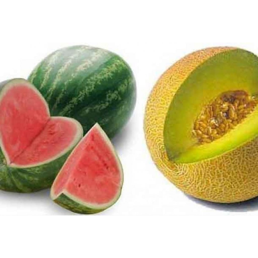 

paket buah 1 semngka dan melon