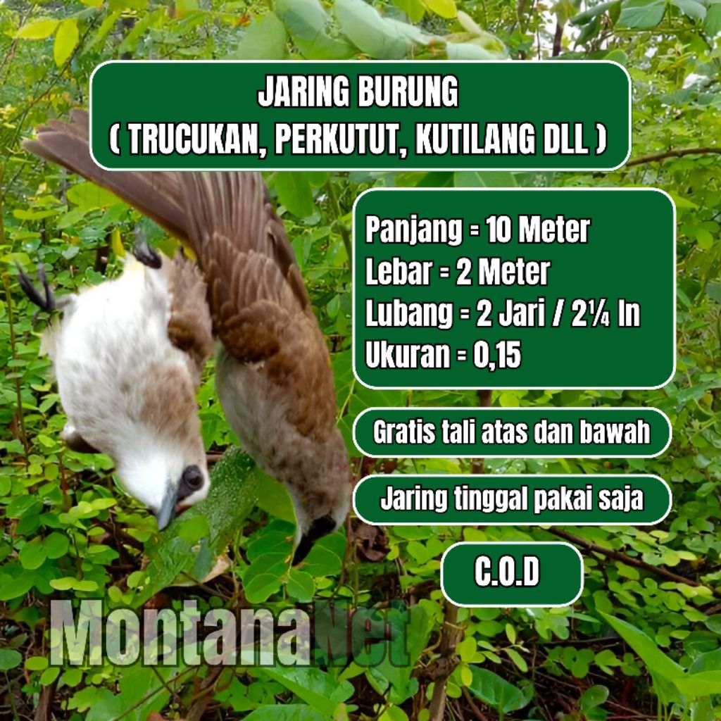 JARING TRUCUKAN JARING PERKUTUT JEBAKAN BURUNG SAWAH WARNA HITAM 10 METER