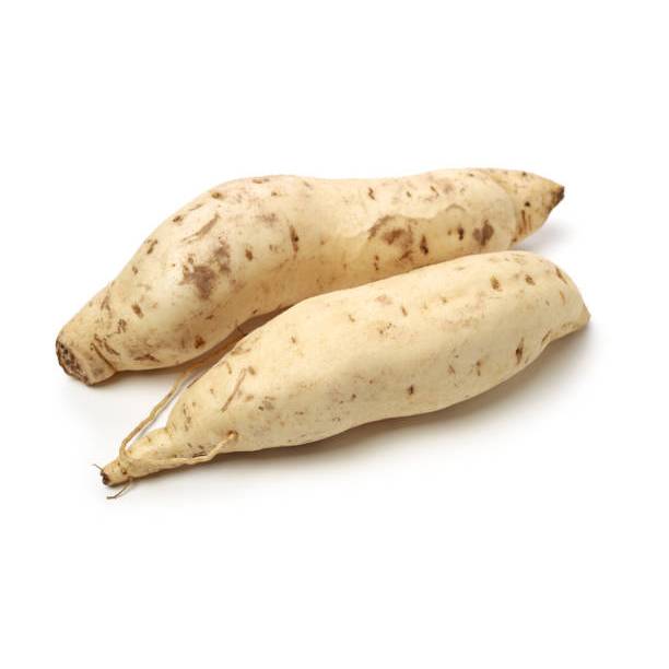 

HarvestMoon Ubi Putih @1 kg