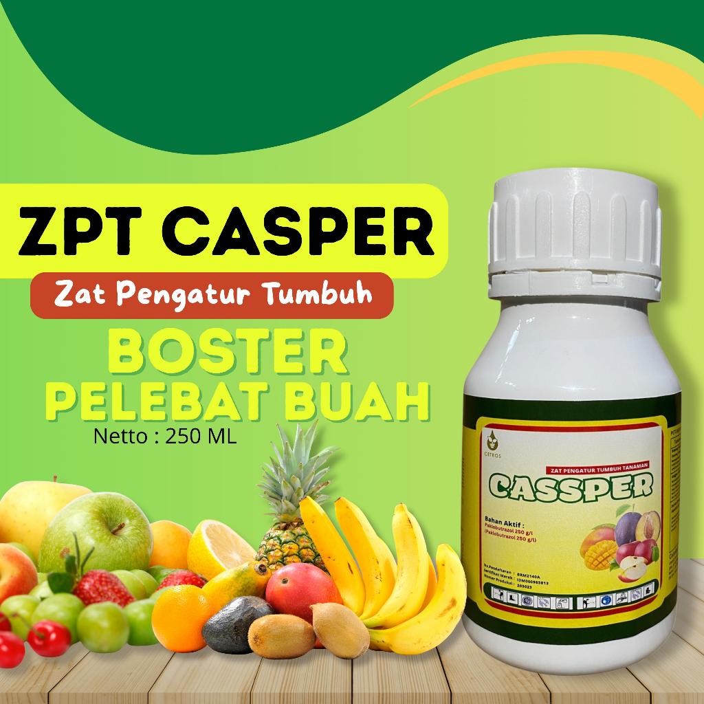 CETROS~ Zpt Cassper Pemacu Pembuahan Diluar Musim / Pupuk Cassper Perangsang Pembuahan Semua Jenis T
