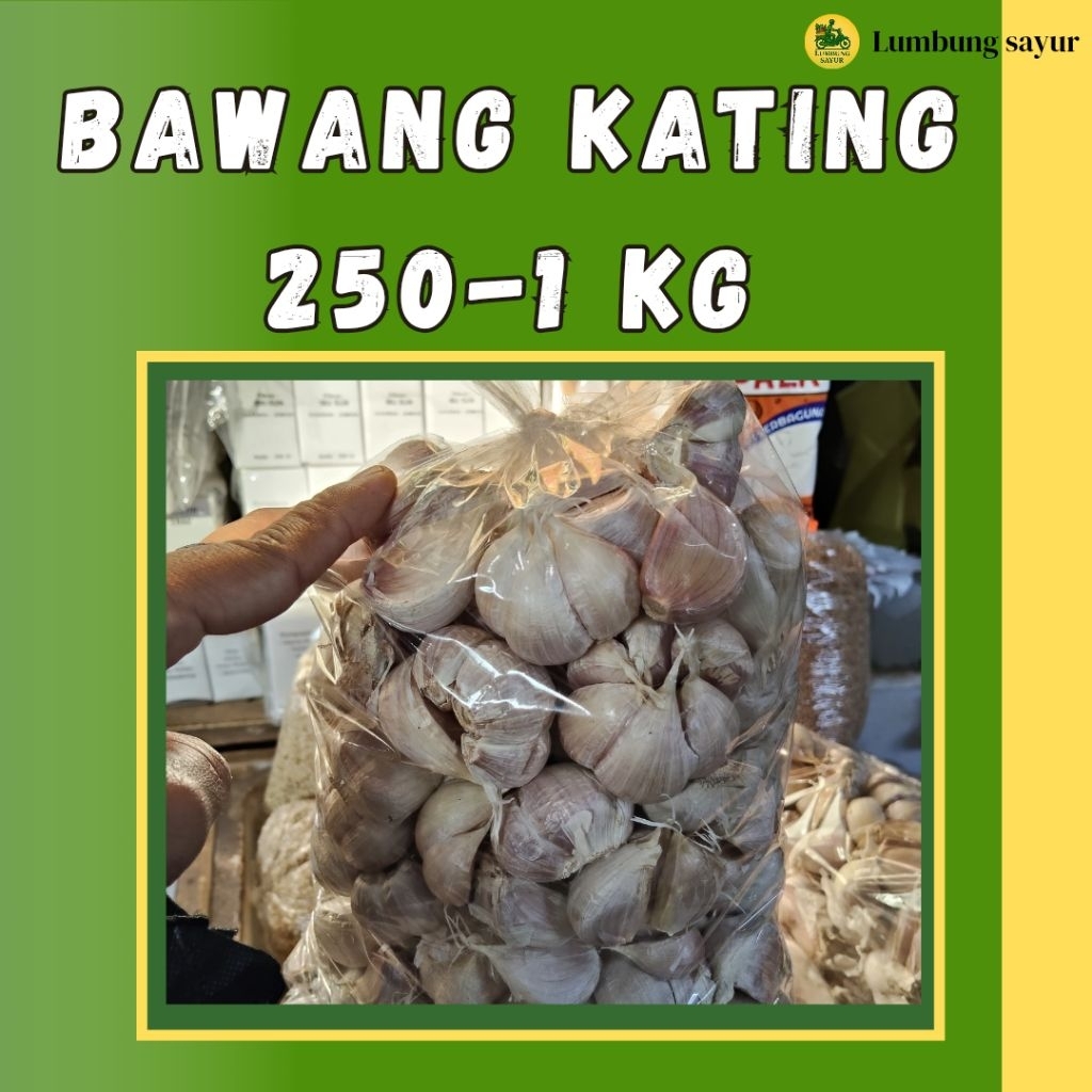 

Bawang Kating Fresh Langsung dari Petani | Segar, Wangi, Murah & Berkualitas - 250g - 1kg