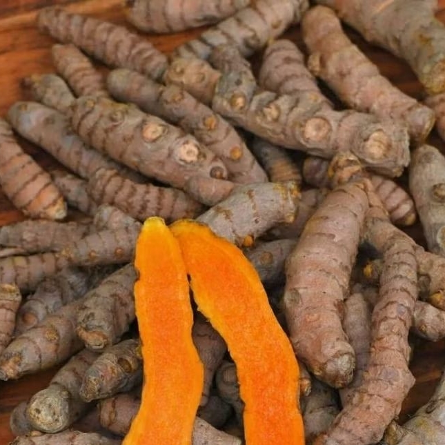 

Kunyit Fresh 100 gr Rempah Rimpang Segar Bahan JSR segar Kirim cepat