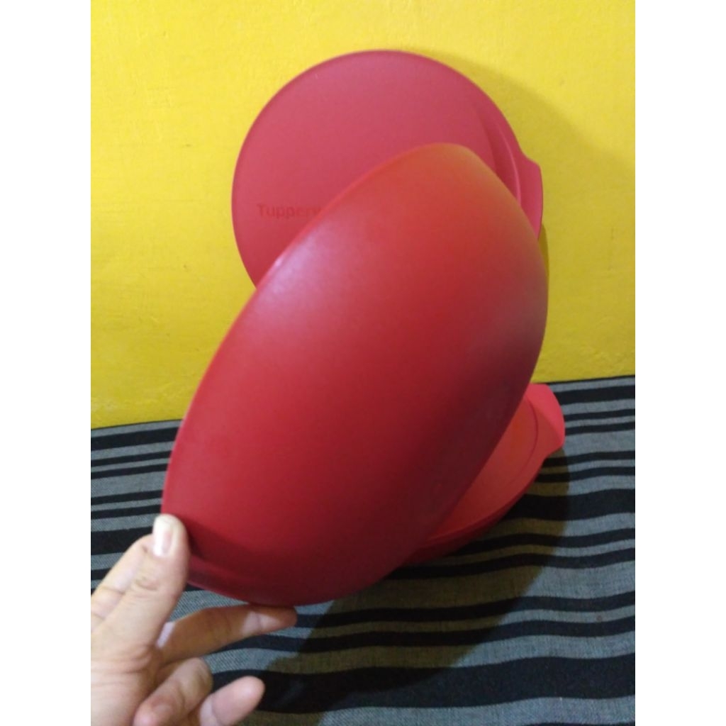 allegra tupperware(1)