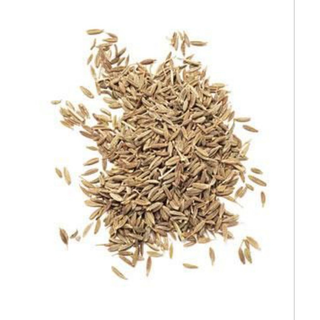 

jinten 10 gram bumbu jogja