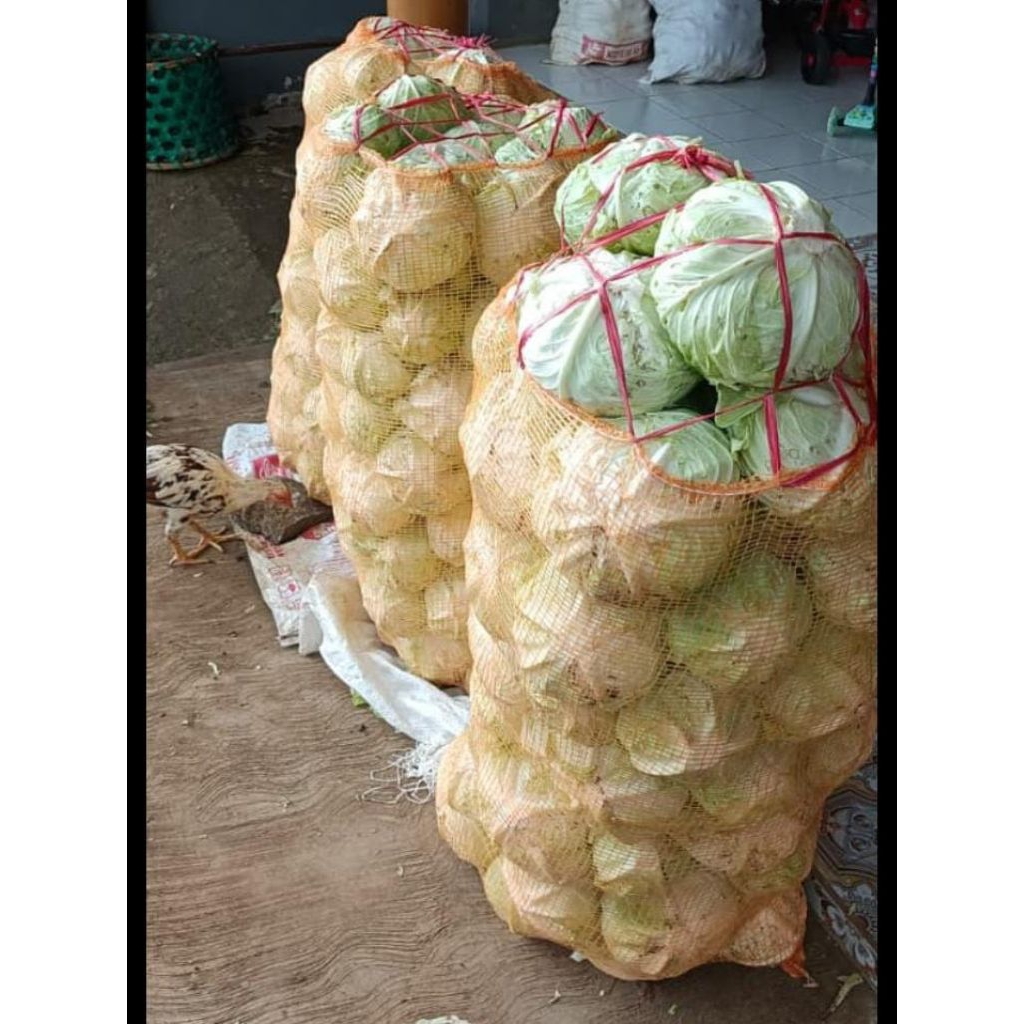 Karung Bawang 60×100 cm 100% PE Asli Isi 50 pcs - Brongsong Kelengkeng & Buah Produksi Pabrik Lokal,