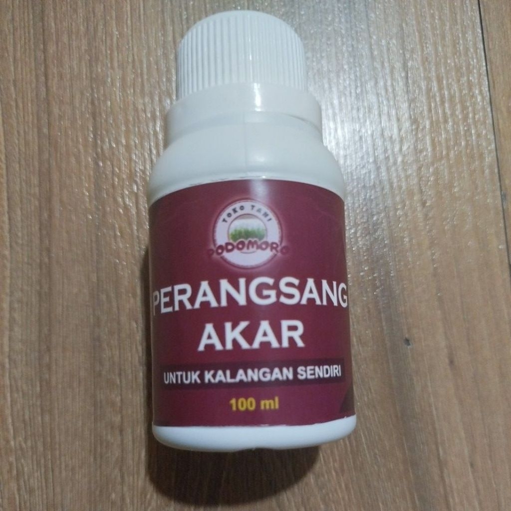 perangsang akar