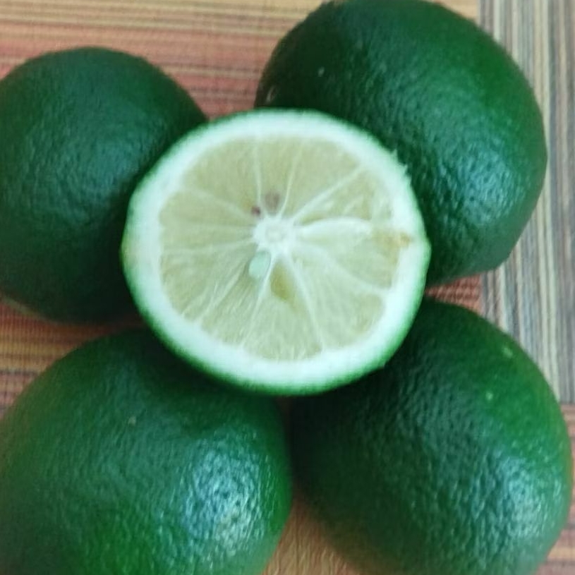 

lemon hijau California lokal 1kg