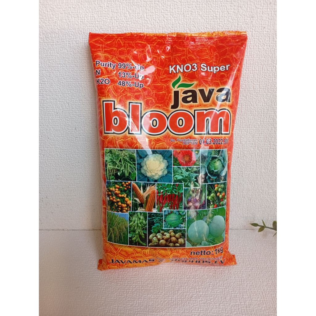 JAVA BLOOM pupuk kalium dan nitrogen ionik
