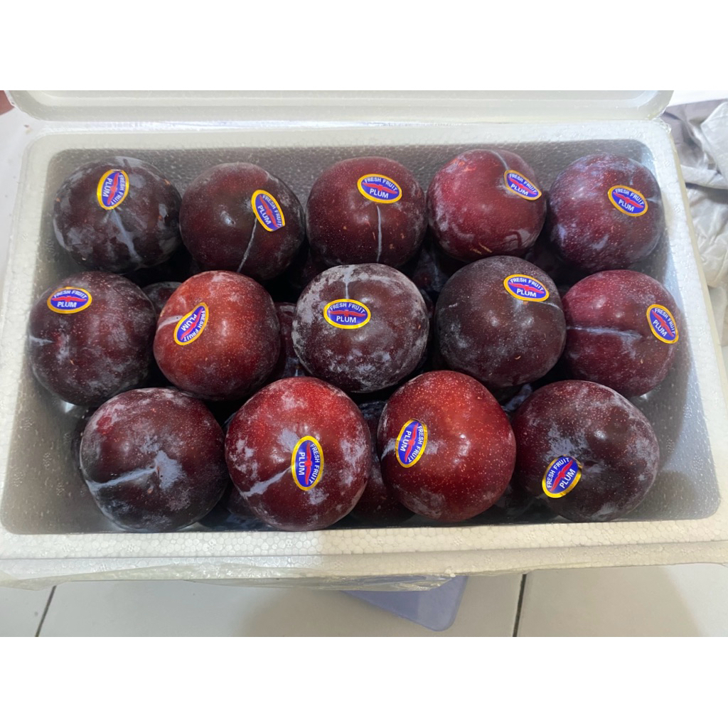 

buah plum segar fresh import 1 box (buah diet)