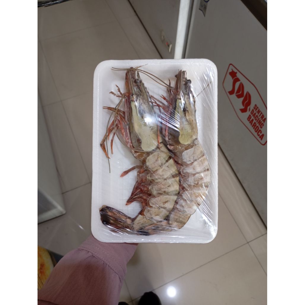 

UDANG PREMIUM SUPER BESAR 2PCS