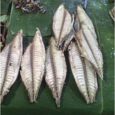 

Tongkol Potong per kranjang