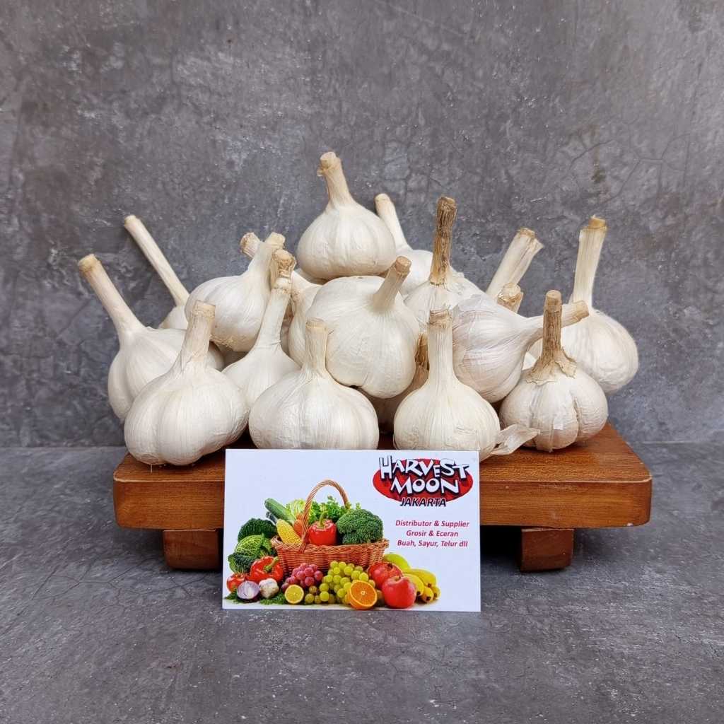 

HarvestMoon Bawang Putih Kating Import @500gr