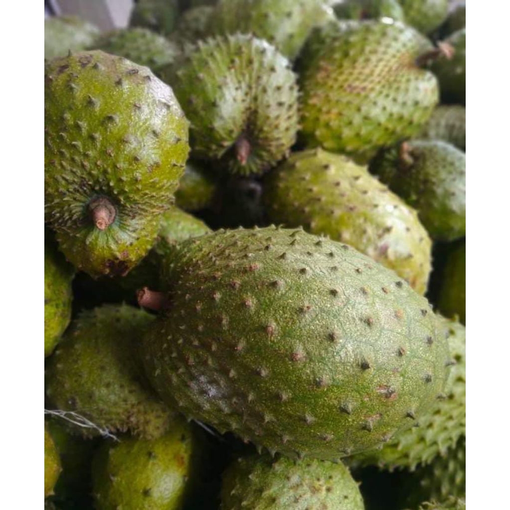 

buah sirsak / mores berat 1 kg