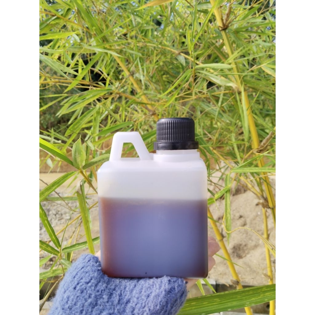 

MHM Madu Hutan Murni Akasia 100% Asli Tanpa Campuran 500 g/gr