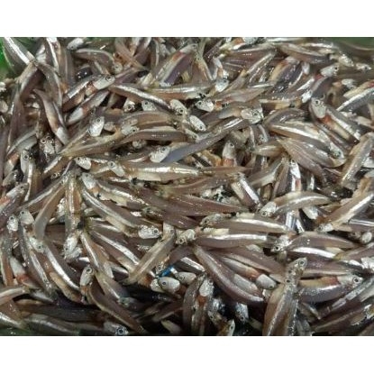 

Ikan teri basah