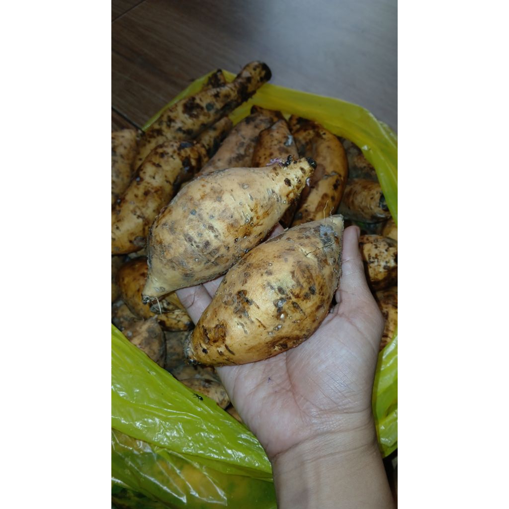 

Ubi Madu Cilembu 1kg