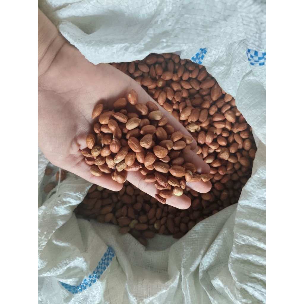 

Kacang tanah 500gr
