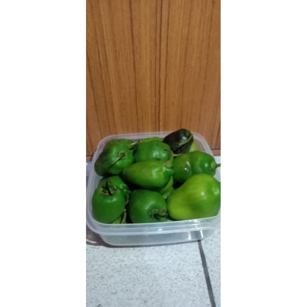 

cabe gndot murah dan segar kemasan 1kgw