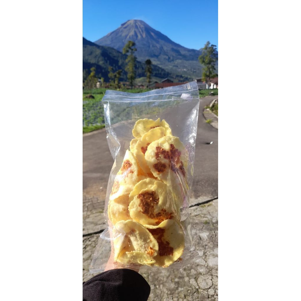 

Oleh-oleh Wonosobo Comring (combro kering toping tempe)