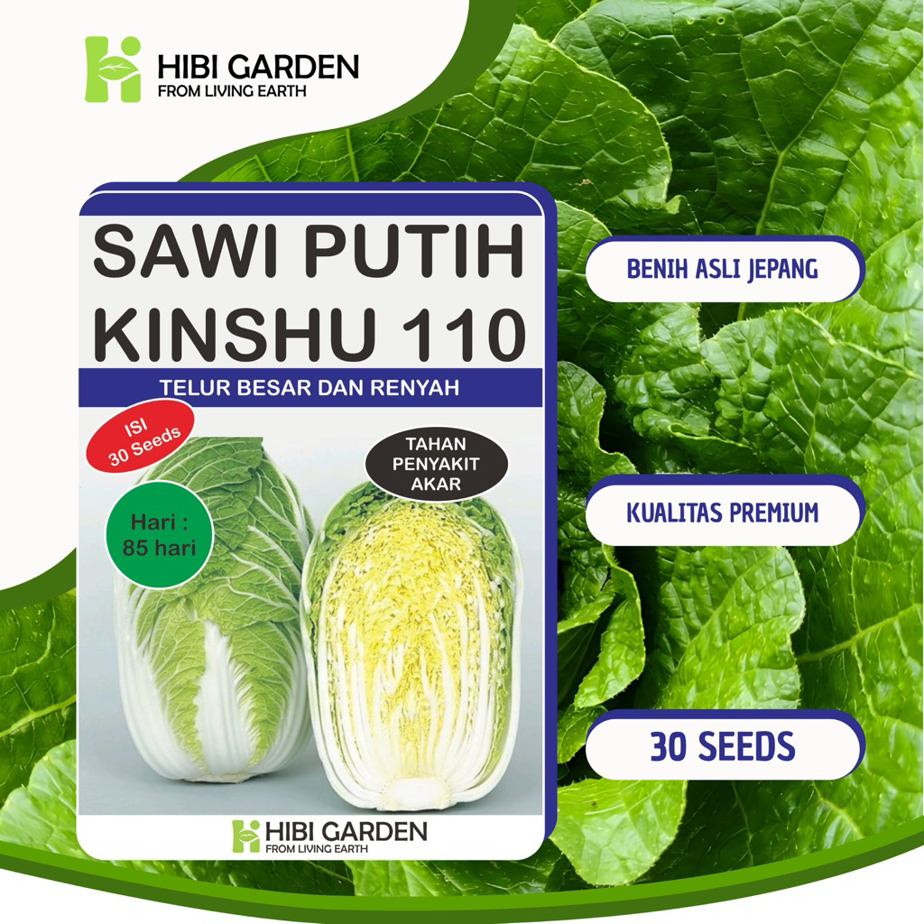 

Sawi Putih Jepang Kinshu 110, Tahan Penyakit Akar
