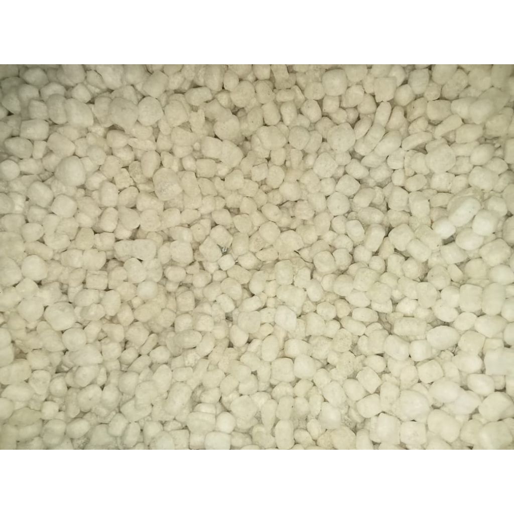 

PILUS CIKRUK HARGA MURAH