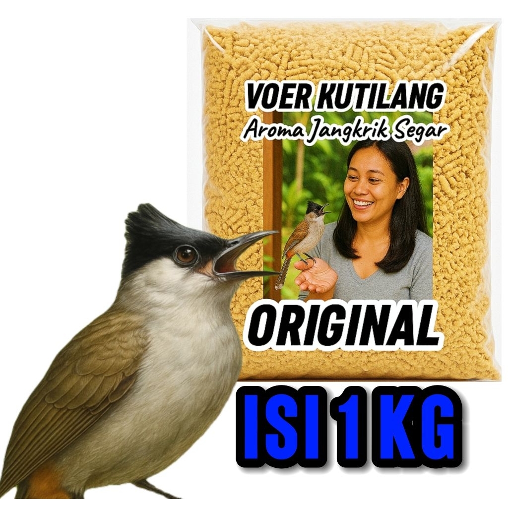 PUR KUTILANG. VOER BURUNG KUTILANG. MAKANAN BURUNG KUTILANG.