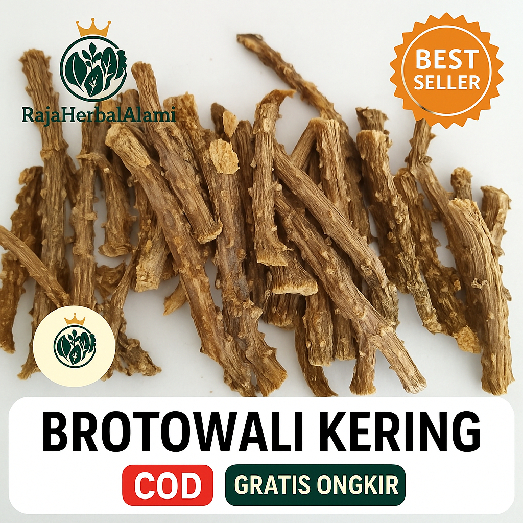 

Brotowali Kering Murah 10 Batang Siap Olah COD