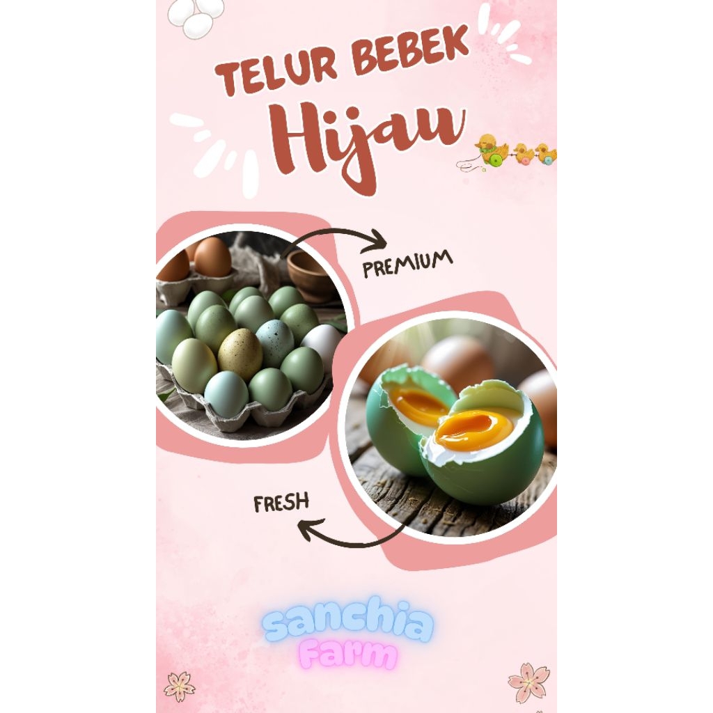 

telur bebek hijau kaya akan nutrisi