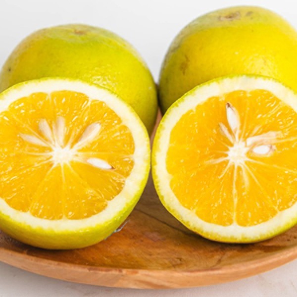 

Buah Jeruk Manis Baby Java Fresh Petik dari Kebun 5 Kg