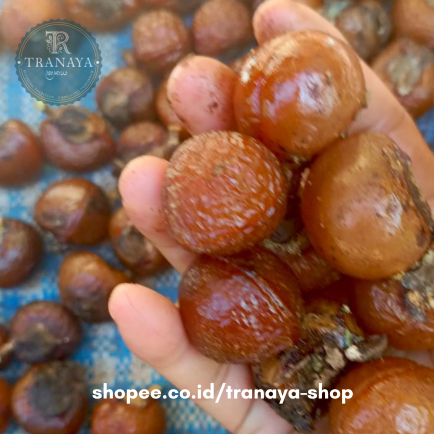 

Buah Lerak dengan biji kemasan 1kg/Buah kelerak