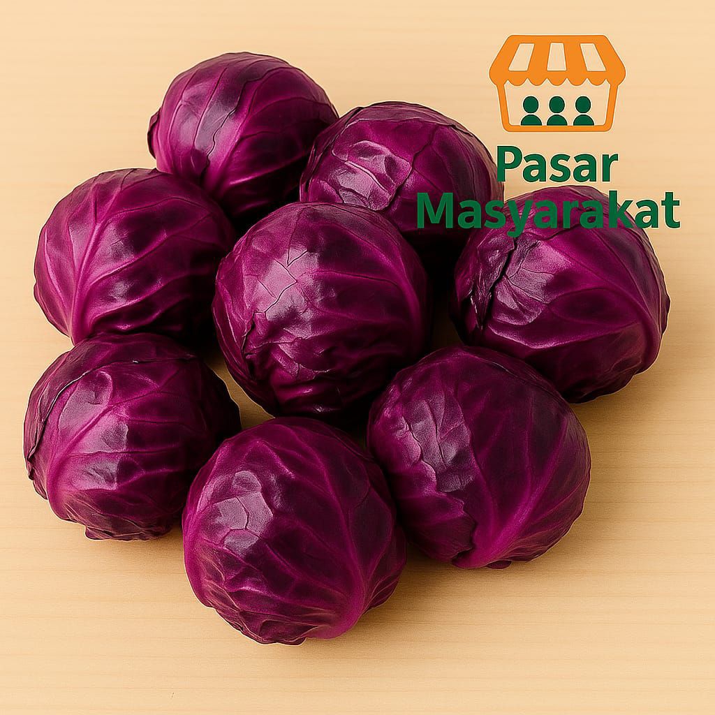 

Kol Ungu Kubis Merah 500 Gram Pasar.Masyarakat