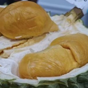 

Buah durian asli black thorn Malaysia durian utuh duri hitam | pcs