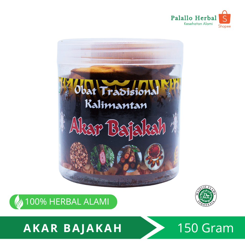 

Obat Tradisional Kalimantan AKAR BAJAKAH Asli 150 gr