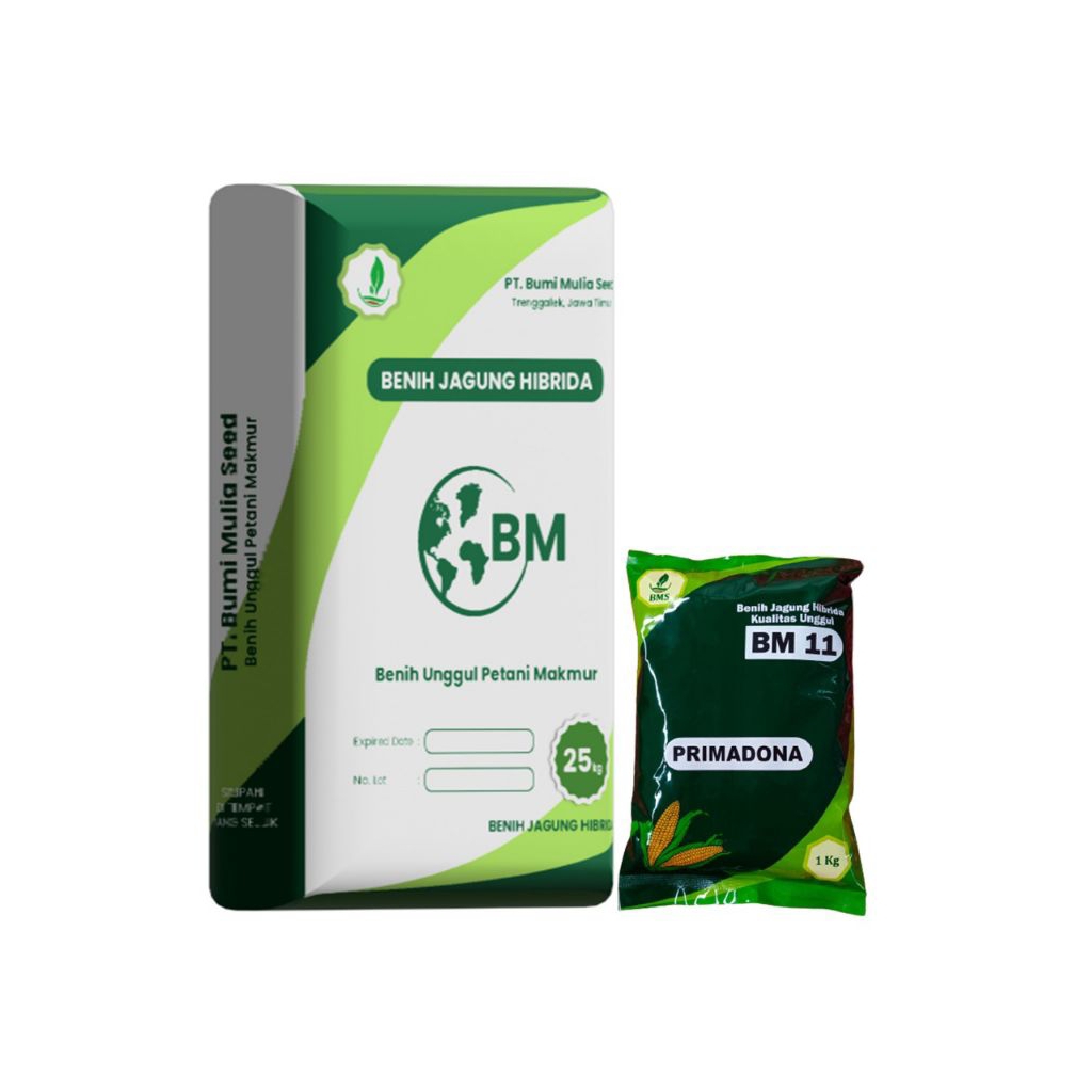 

Benih Jagung BM 11 ( 1 Kg )