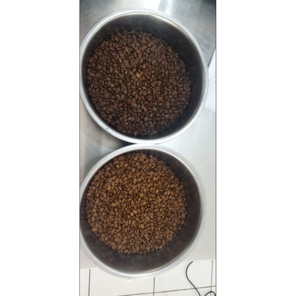 

Greenbean/Kopi siap sangrai | Robusta | Arabika | 500gr, 1kg, 2kg