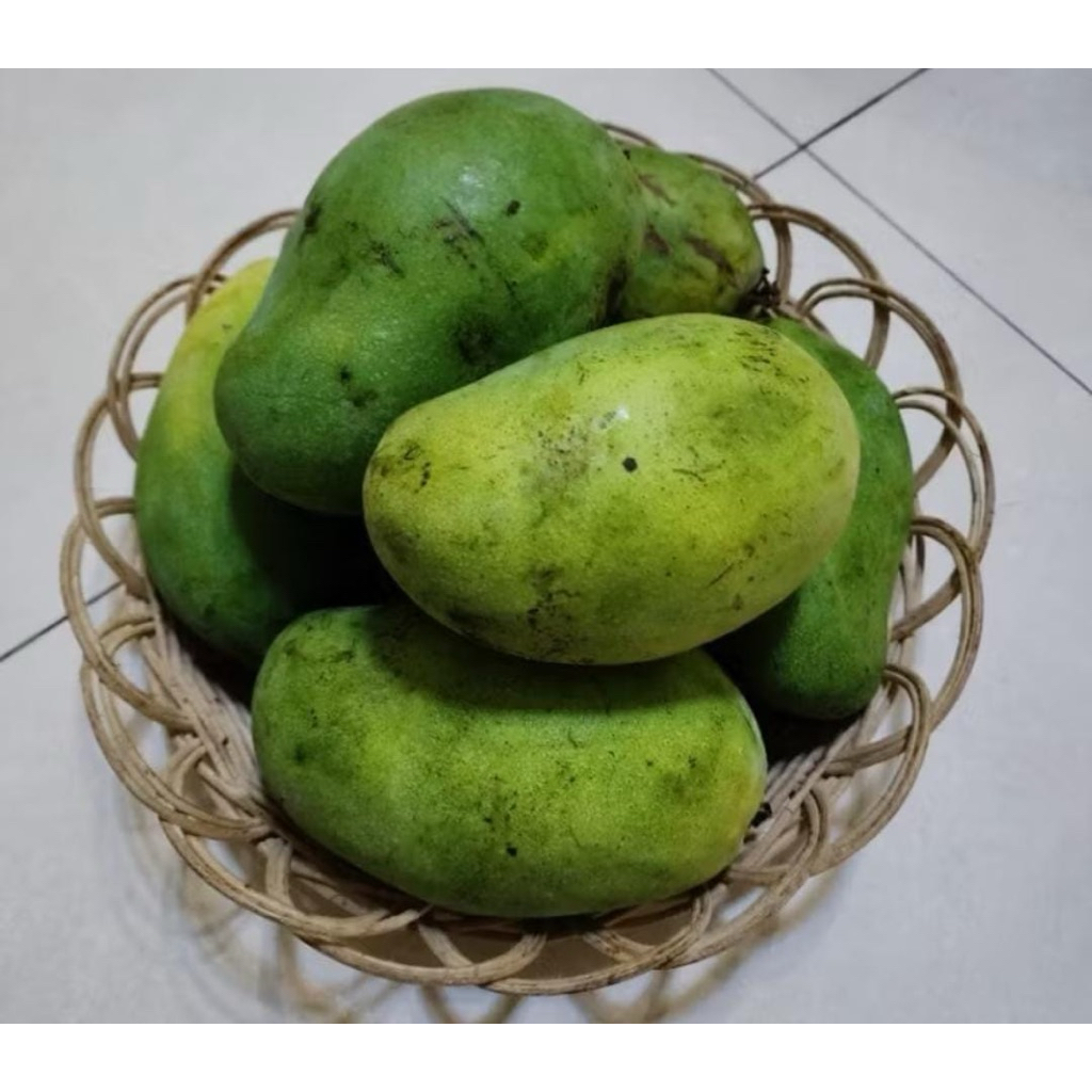 

BUAH MANGGA HARUM MANIS 1KG