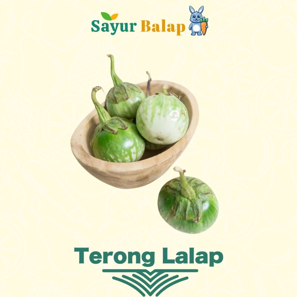 

Terong Lalap - 250 grm- Sayur Balap Lampung