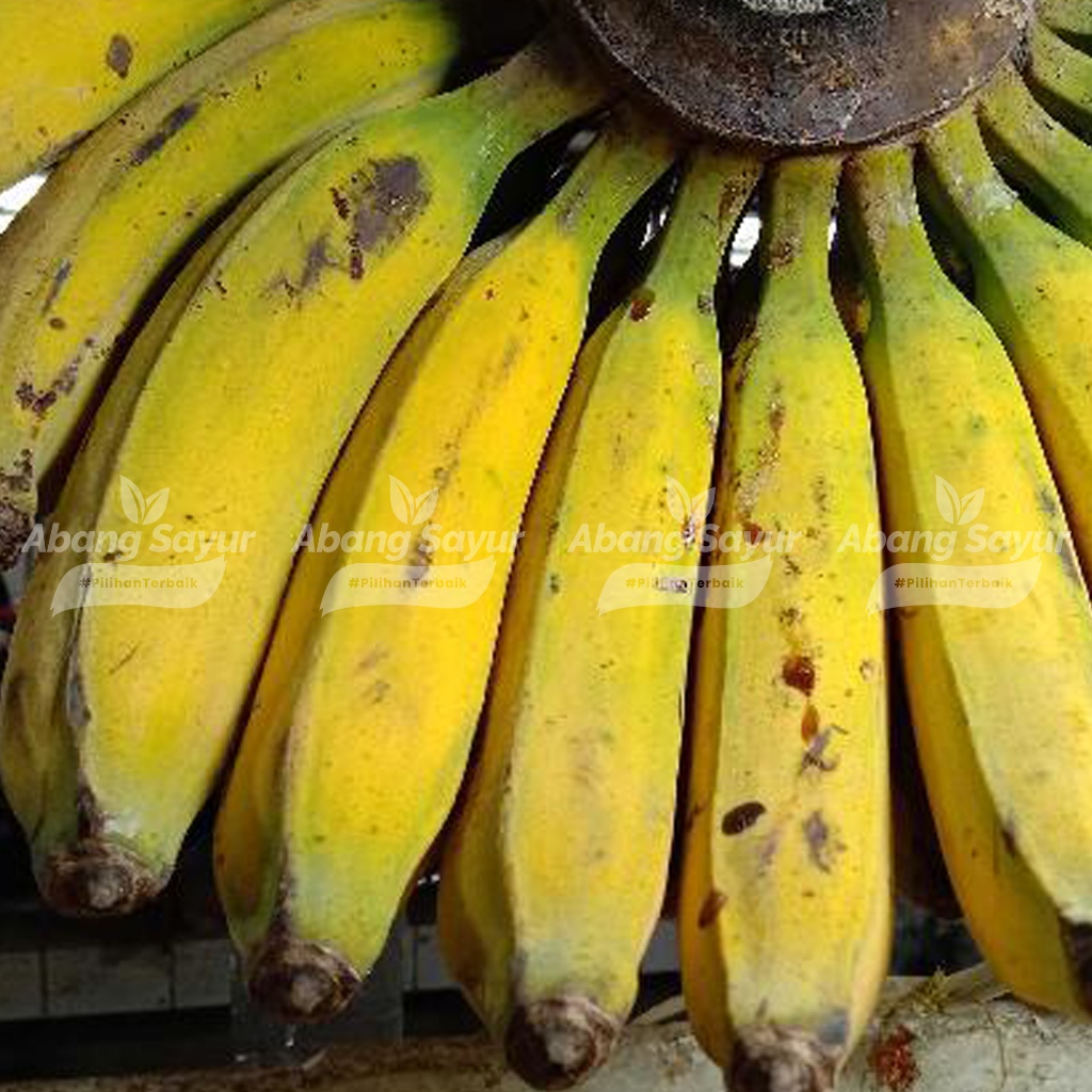 

Pisang Raja Bulu 1kg - Manis Wangi Kirim Instant Bandung - Cocok Untuk Gorengan & Cemilan