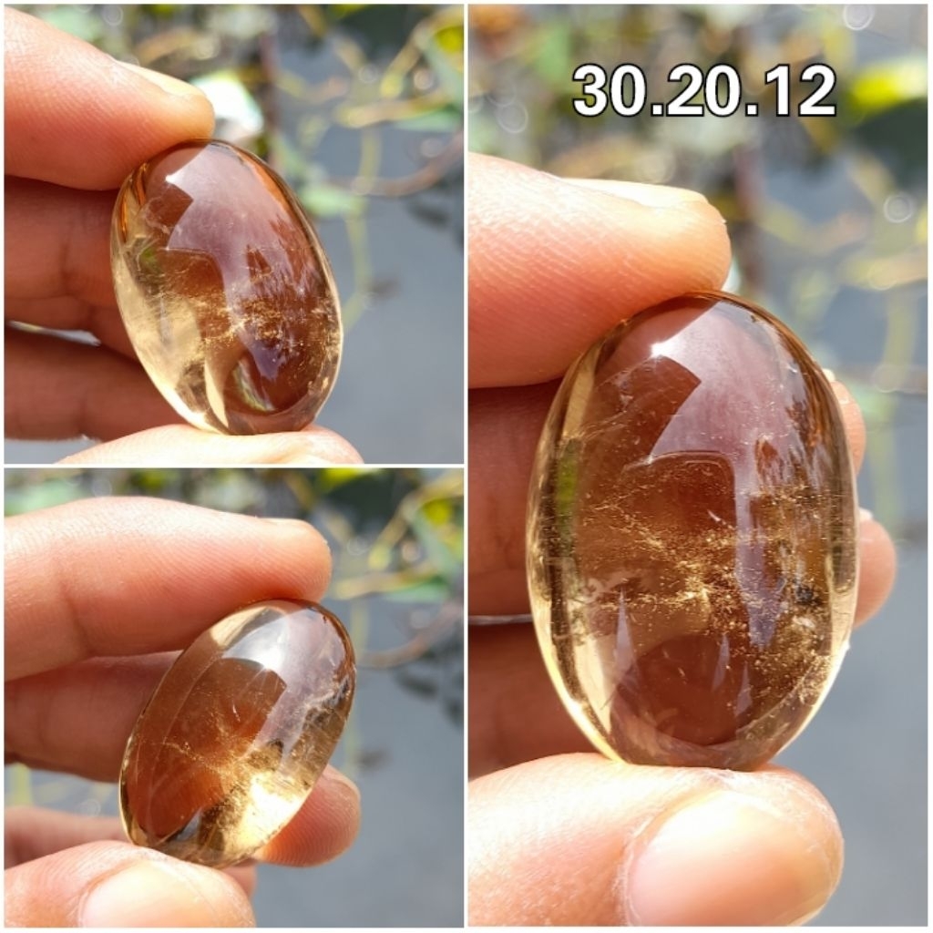 kecubung teh kuning kalimantan